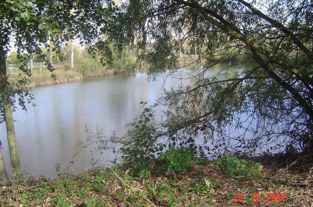 etang a vendre dans l'yonne
