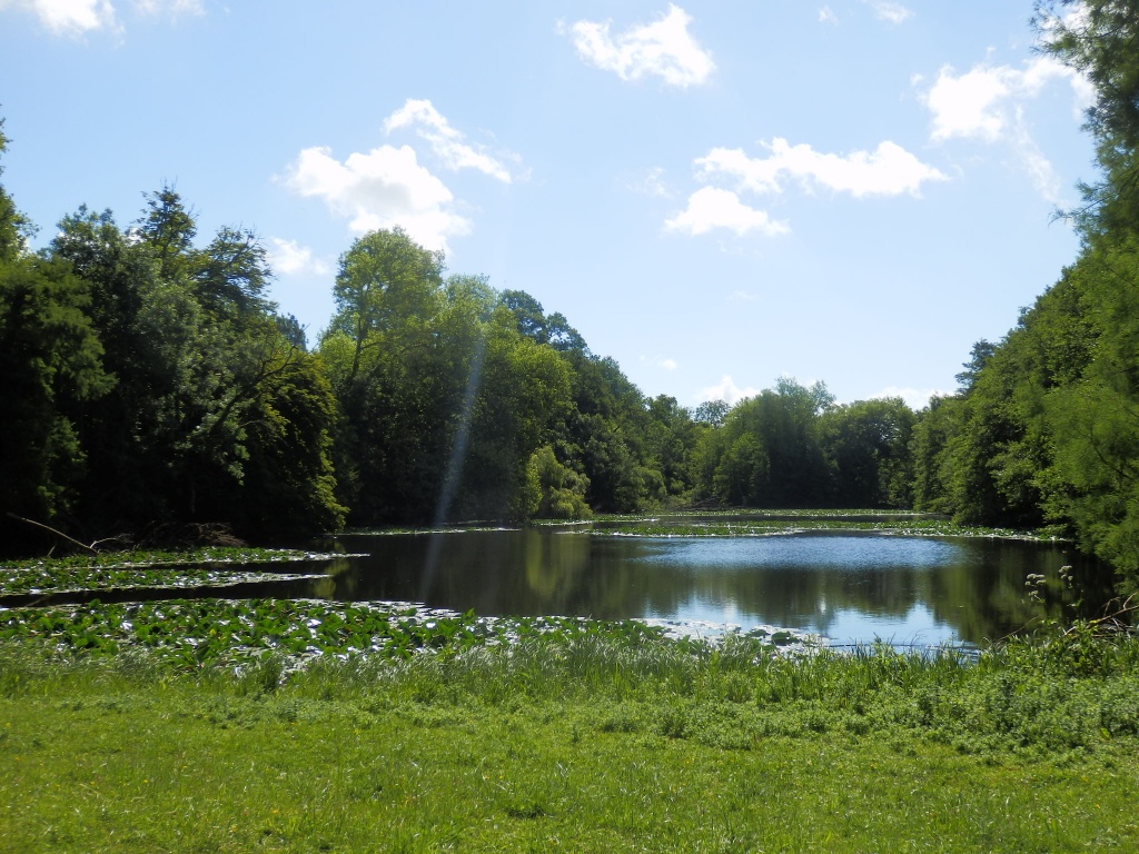 L'étang d'1,6 hectares