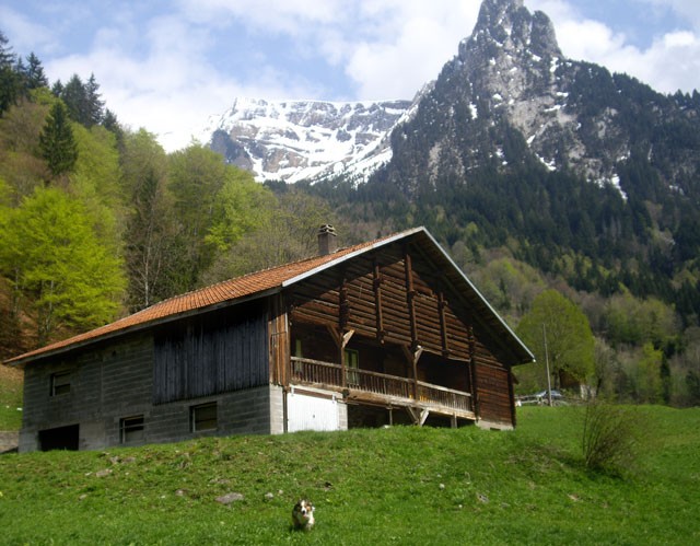 chalet a vendre hautes pyrenees