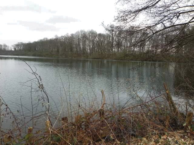 Etang A Vendre Dans L Allier Proprietes Etangs A Vendre Com
