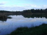 propriete chasse 11