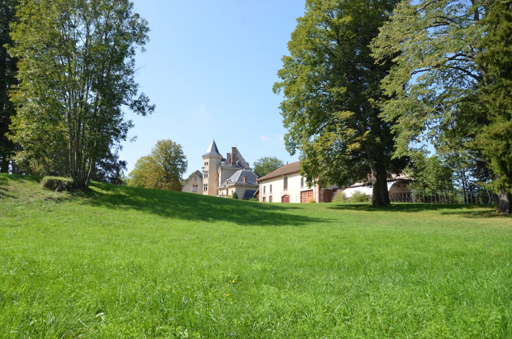 DSC_2181 - copie