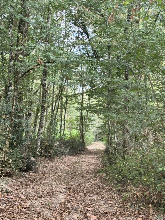 13 -