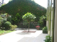 garden_(2)